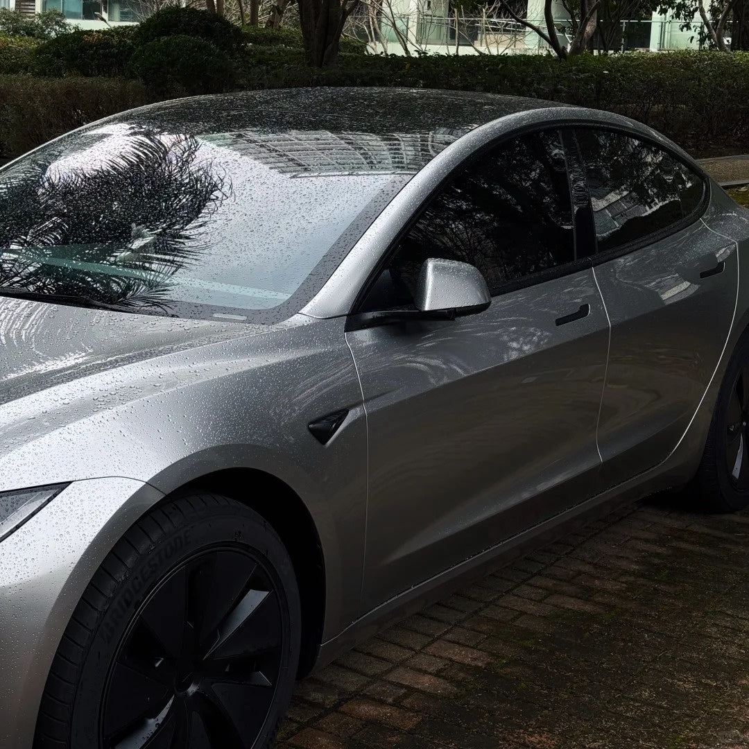 NEOPPF 1007 GT Silver vehicle view