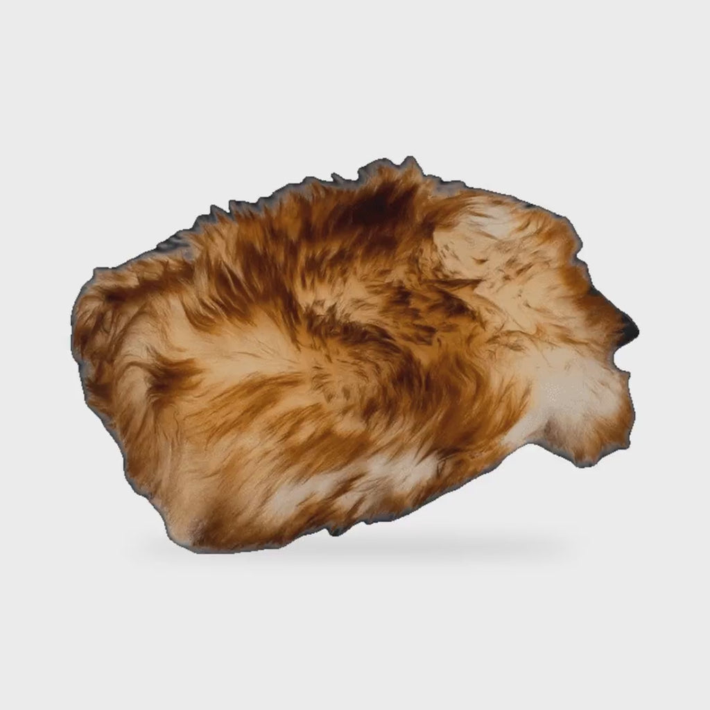 MaxShine 8011004 Sheepskin Wash Mitt - product showcase video (MaxShine) | AUTO SPORTS CAR CARE