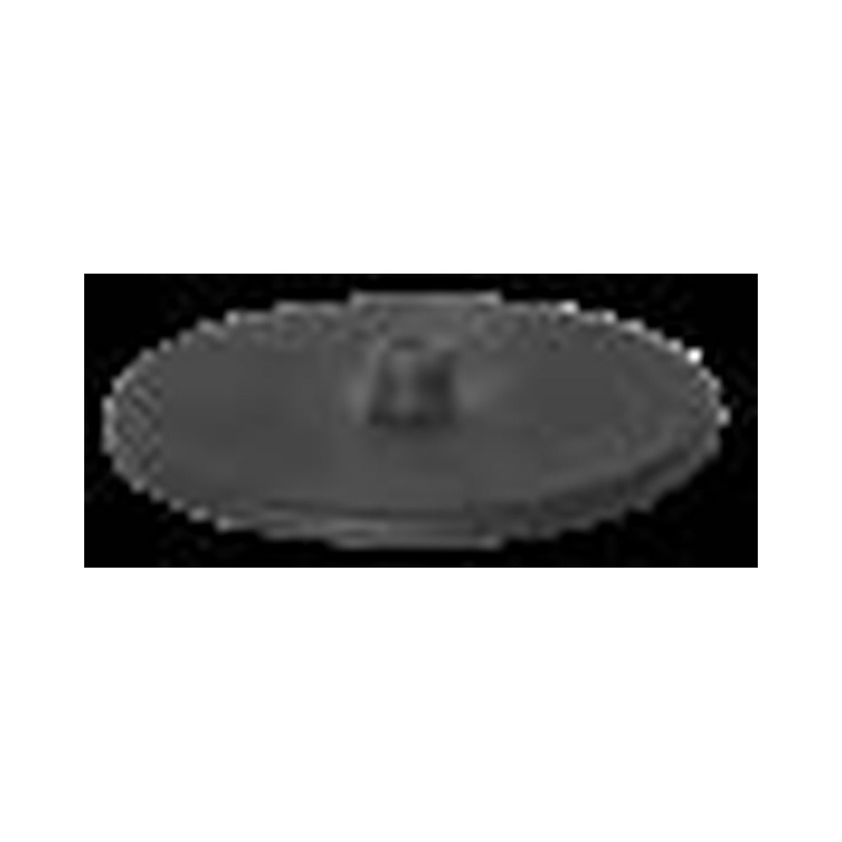 RUPES 996.001/C iBrid Nano Polishing Backing Pad – 50 mm – Rupes | AUTO SPORTS CAR CARE